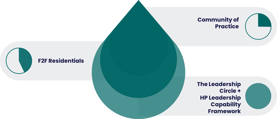 Women's Talent Program Structure