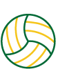 A volleyball ball