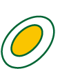 A flying disc or frisbee
