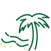 Water, sand, and palm tree