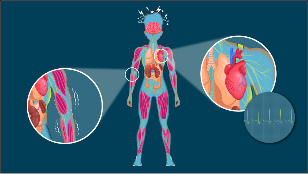 person standing with a focus on muscles, feeling shaky and sweating. Heart rate increase. (Heart with heart beat monitor line beating fast).