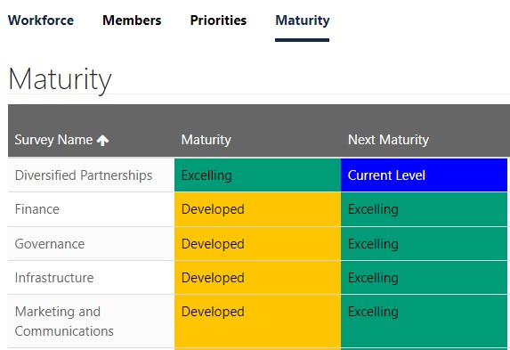 Figure 4 provides an example of the Game Plan maturity ratings for an individual club.