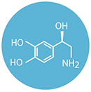 Catecholamines icon