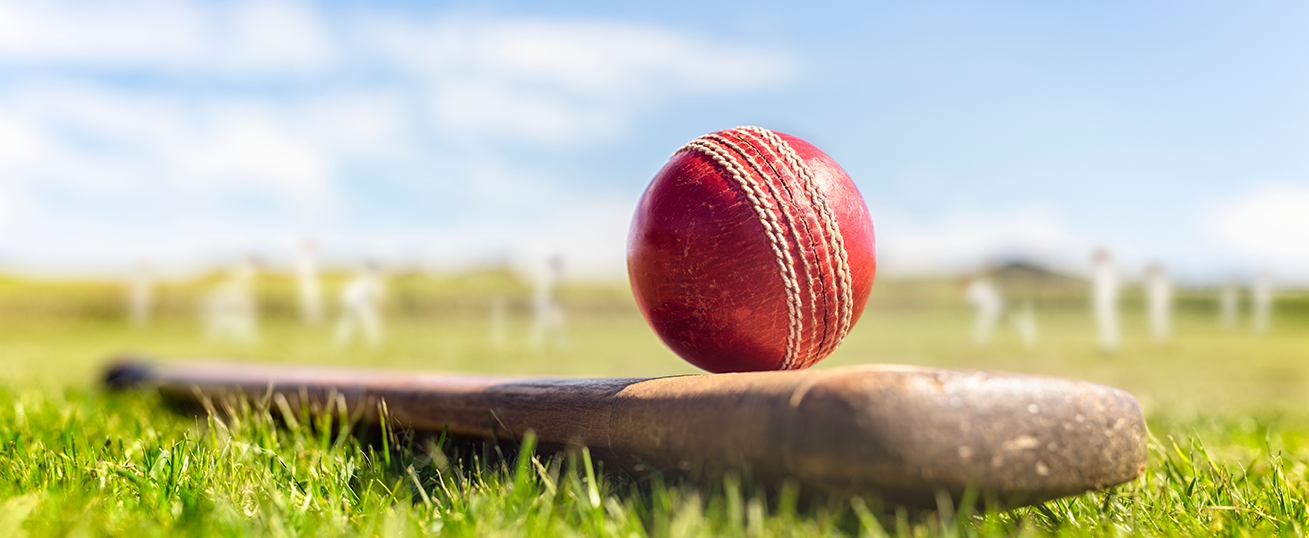 Cricket ball sitting on a cricket bat