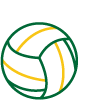A netball