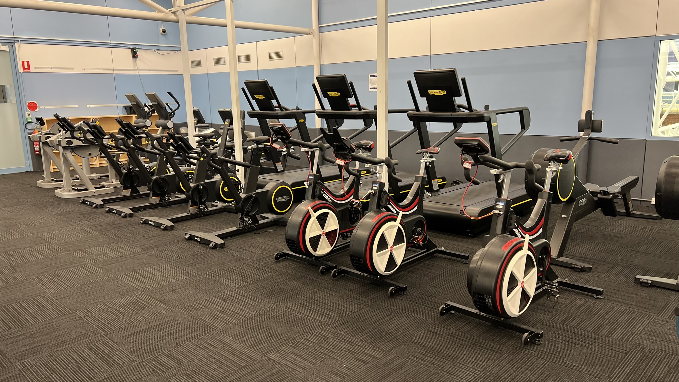 S&C Gym 2