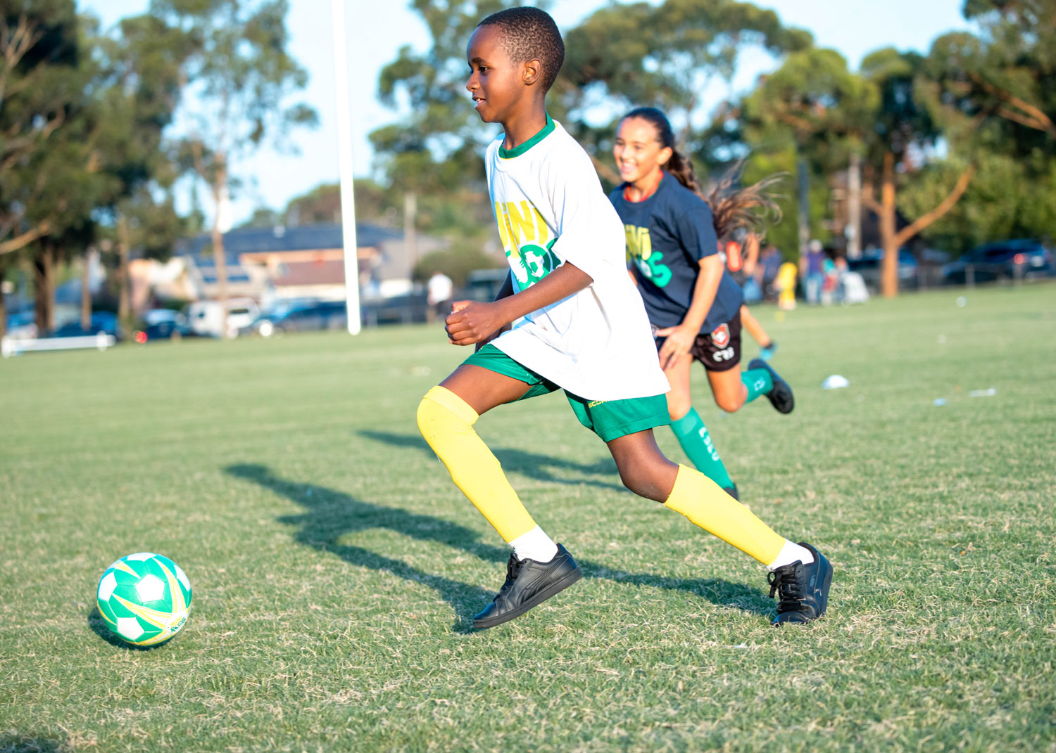 MiniRoos