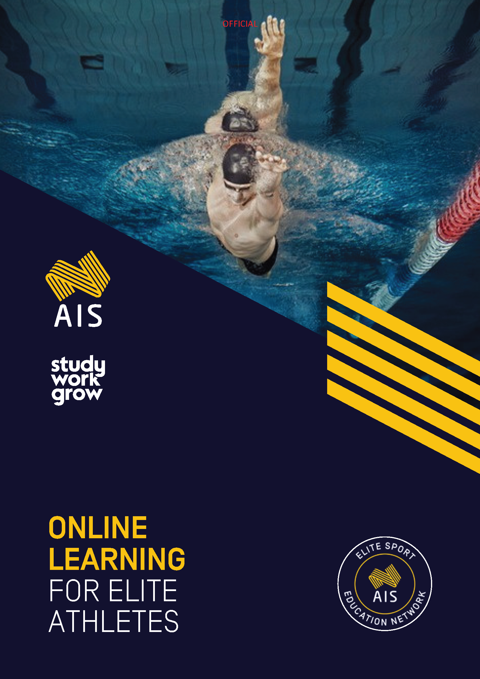 AIS Online Education Guide 2025 Cover