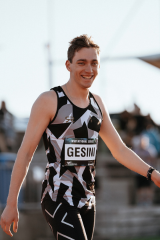 Ari Gesini