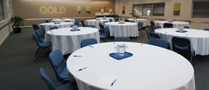 The Australian Institute of Sport (AIS) mission is to lead and enable a united high performance (HP) system that supports Australian athletes/teams to achieve podium success.