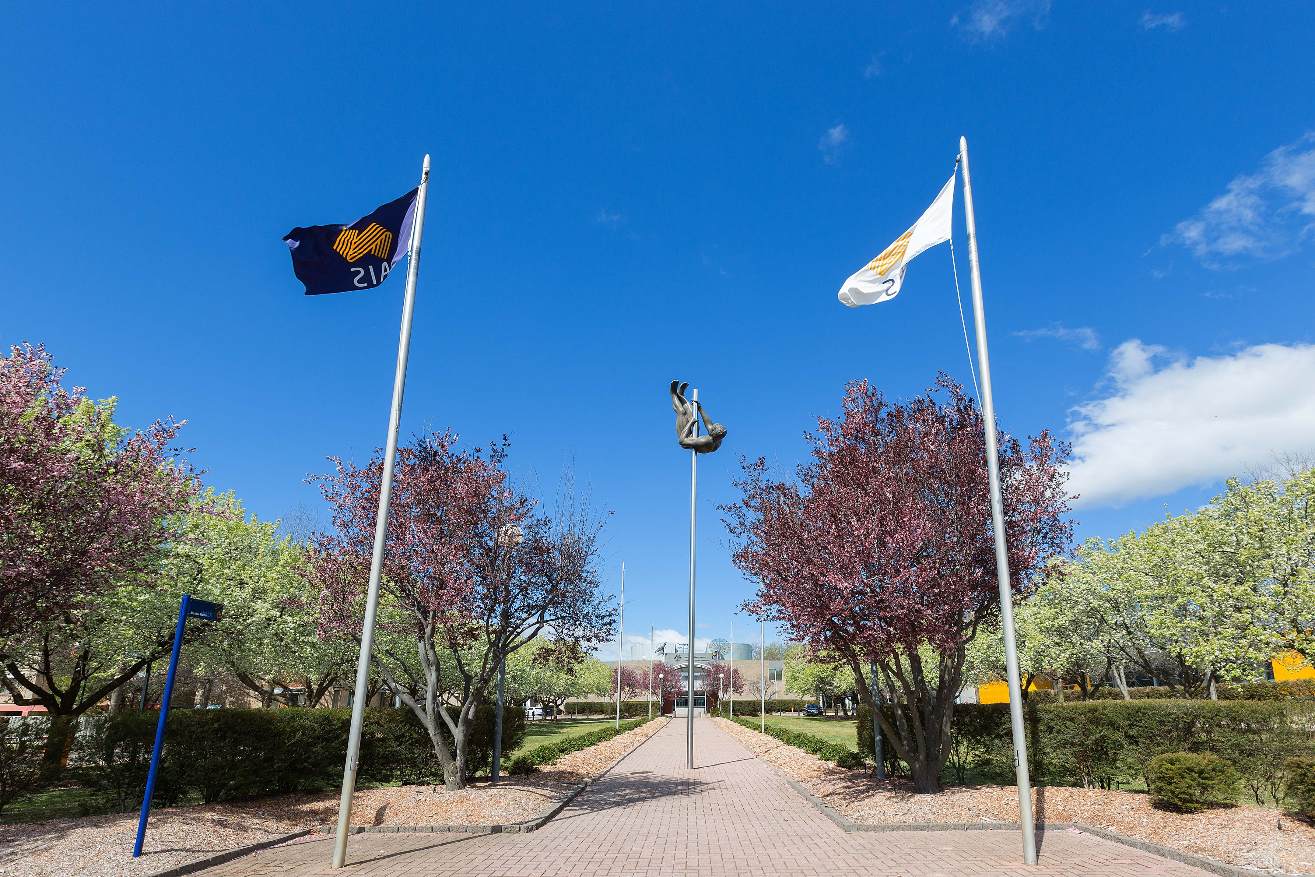 An image from the Australian Institute of Sport showing two flag poles with the AIS and ASC flags flying, and a statue of a pole vaulter.