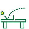 A table tennis table