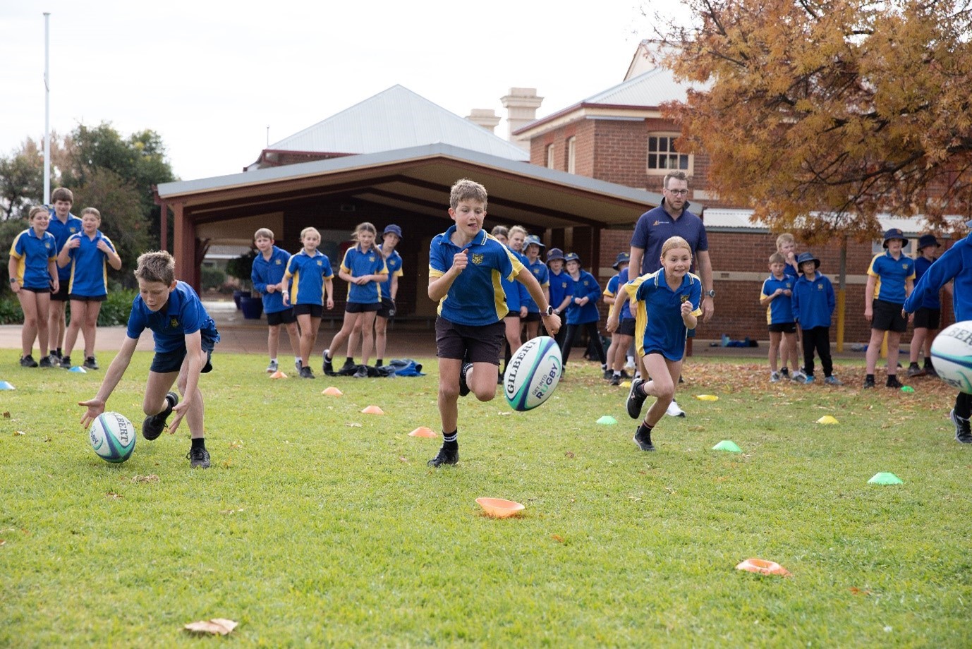 Rugby-Union.jpg