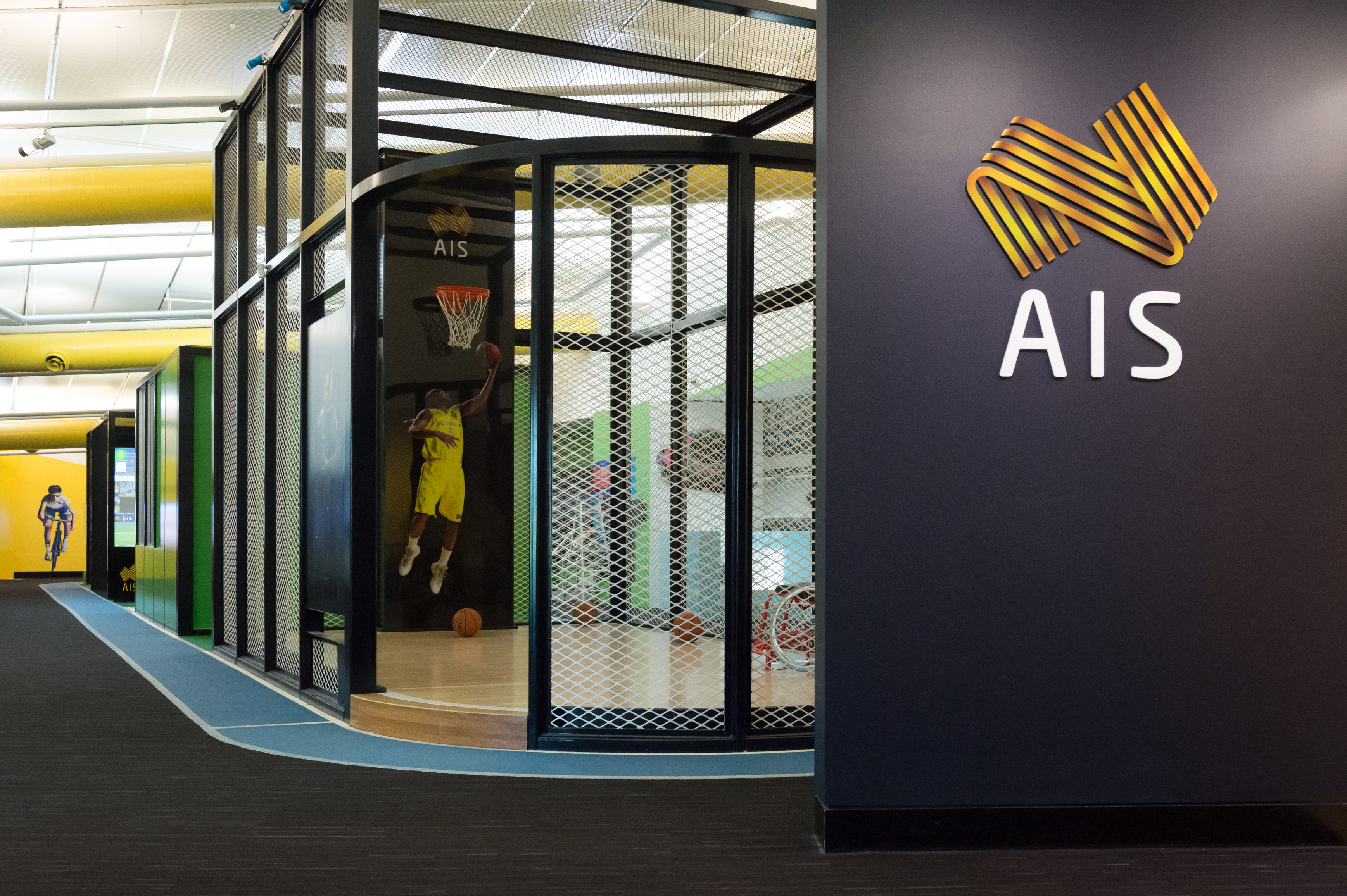 An image of the Sportex exhibition at the AIS, showing a basketball hoop and basketball.
