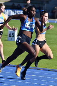 Photo of Telaya Blacksmith