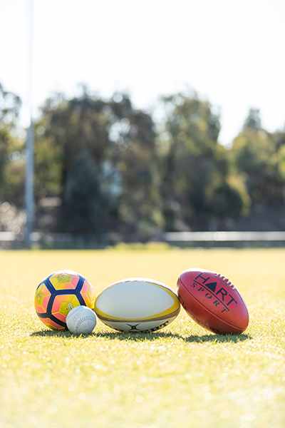 Portrait photo of a group of sport balls