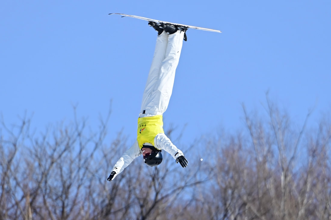 Aerial Skiier.jpg