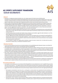 Sodium Bicarbonate