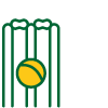Cricket stumps and a ball