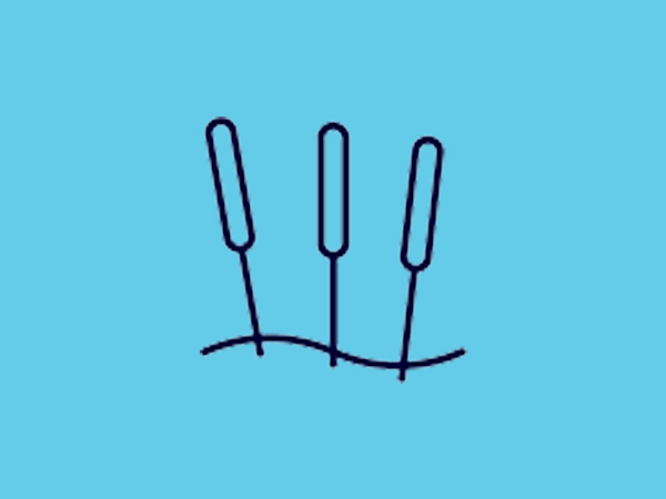 Dry needling icon