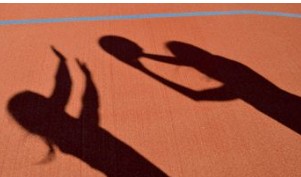 National Integrity capability - shadows on basketball court