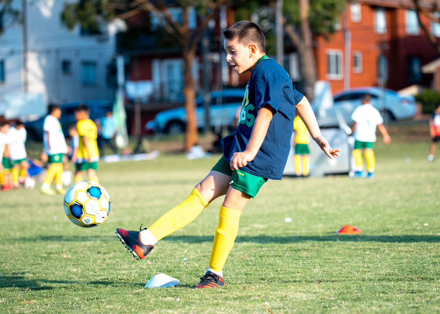 MiniRoos