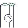 Icon of cricket stumps and a ball
