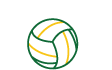Netball