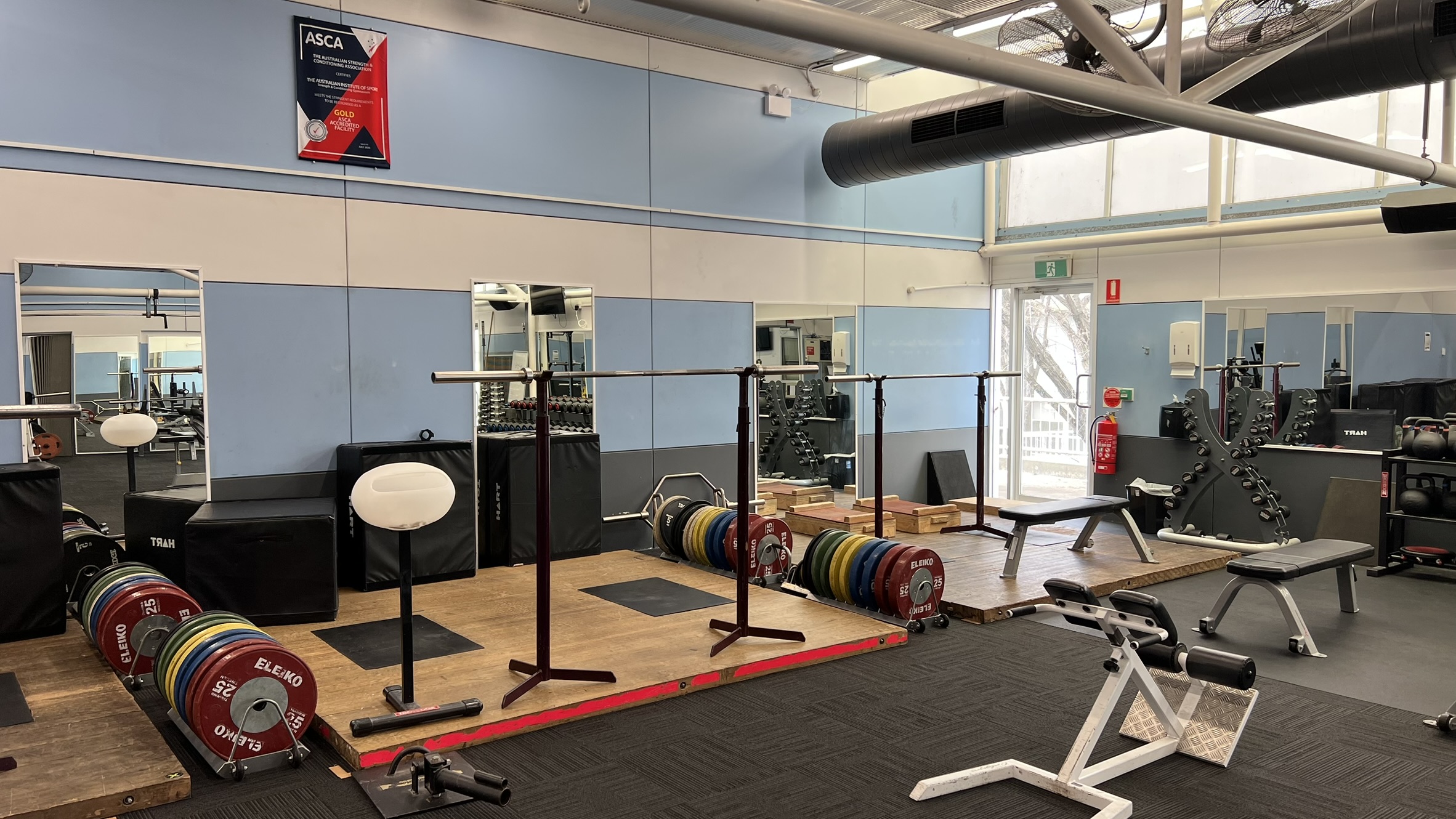 S&C Gym 1